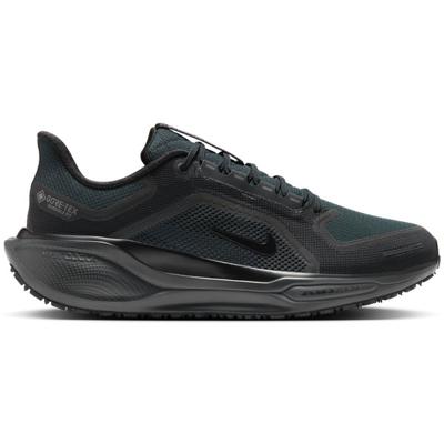 Nike Pegasus 41 GTX Heren