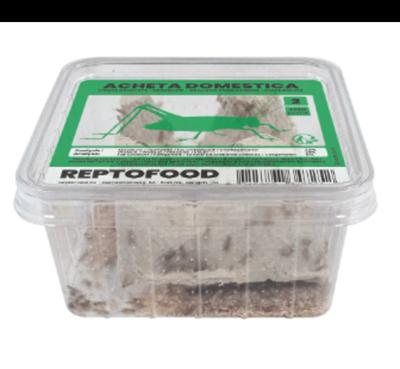 Reptofood Reptofood Huiskrekels, Doos Maat 4