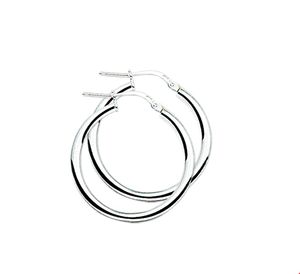 TFT Oorringen zilver ronde buis 2,5 x 25 mm