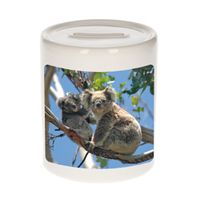 Dieren foto spaarpot koala beer 9 cm - koalaberen spaarpotten jongens en meisjes