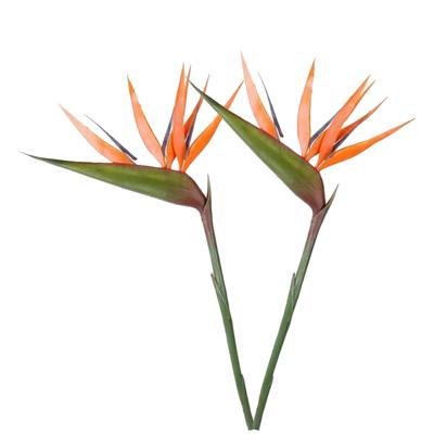 Kunstbloem Strelitzia - 2x - 90 cm - losse tak - kunststof bloem - Paradijsvogelplant - decoratie