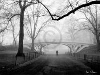Kunstdruk Henri Silberman - Gothic Bridge, Central Park NYC 80x60cm