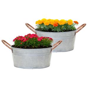 Plantenpot/bloempot teil Jean - 2x - voor buiten - zink - zilver - D24 X H11 cm