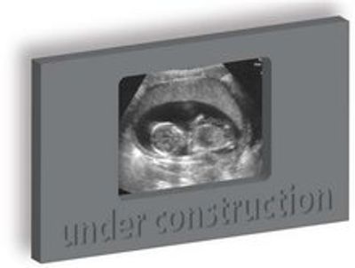 My first picture 'under construction'