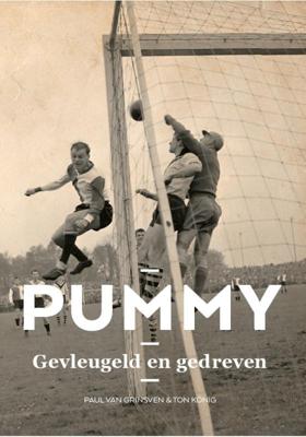 Pummy (Paperback)