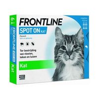 Frontline Kat spot on
