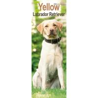 Labrador Retriever Blond Kalender 2026 Slimline