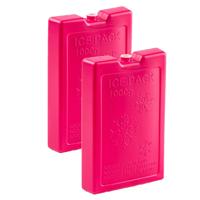 Koelelementen van 1000 gram - 4x stuks - roze - 22 x 14.5 x 3.5 cm - voor koeltas en koelbox