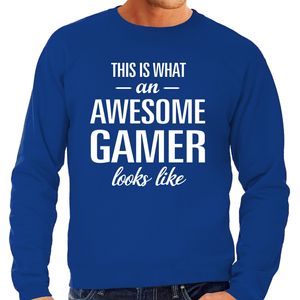 Awesome / geweldige gamer cadeau sweater blauw heren