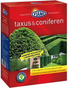 Viano Taxus coniferen 4 kg