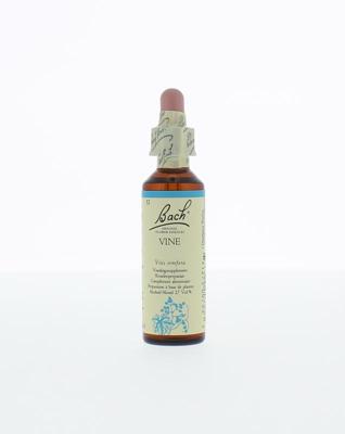 Bach Vine/wijnrank