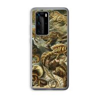 Haeckel Lacertilia: Huawei P40 Pro Transparant Hoesje