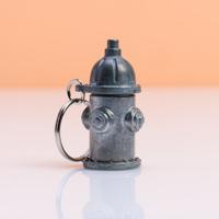 Brandkraan hondenpenning