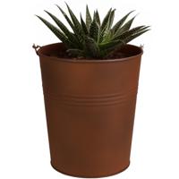 Plantenpot/bloempot emmer voor buiten - zink - roestbruin - D13 x H14 cm