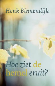 Hoe ziet de hemel eruit? - Henk Binnendijk - ebook