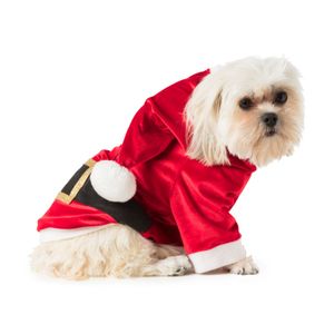 Kerstman pak voor dieren - medium