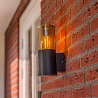 Blaze - LED Wandlamp - Up light - E27 Fitting - IP44 Waterdicht - Smokey glas