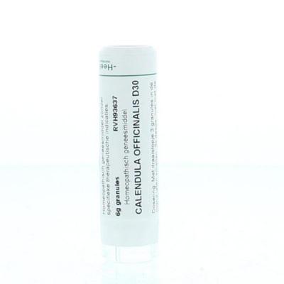 Homeoden Heel Calendula officinalis D30 6 Gram