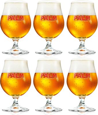 Palm Bierglazen 250 ml - 6 stuks