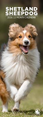 Shetland Sheepdog Slimline Kalender 2026