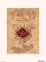 Kunstdruk Harry Potter The Marauders Map 30x40cm