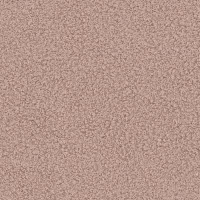 Now or Never 61 - Lichtroze