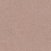 Now or Never 61 - Lichtroze