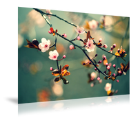 Fotoafdruk Mat 60x180