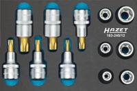 HAZET Gereedschapset - TORX® 163-245/12 - 1/2 inch (12,5 mm) vierkant hol - Buiten-TORX®-profiel, Binnen-TORX®-profiel - 12-delig - E10 - E20 - T30 -