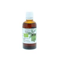 Trifolium / rode klaver tinctuur bio