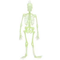Halloween/horror thema hang decoraties - 1x stuks - skeletten - glow in the dark - 30 cm - Feestdecoratievoorwerp - thumbnail