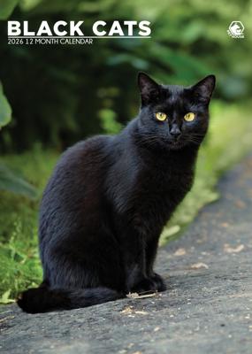 Zwarte Katten A3 Kalender 2026