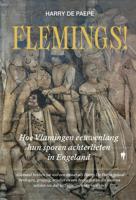 Flemings - Harry De Paepe - ebook