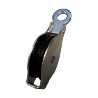 Waelbers Hijskatrol 40mm enkel Gietijzer-wiel - 5 Stuk(s) - 6202111.02