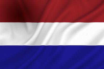 Dokkumer Vlaggen Centrale Vlag nederland 20x30 cm spun-poly