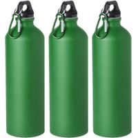 3x Stuks aluminium waterfles/drinkfles groen met schroefdop en karabijnhaak 800 ml