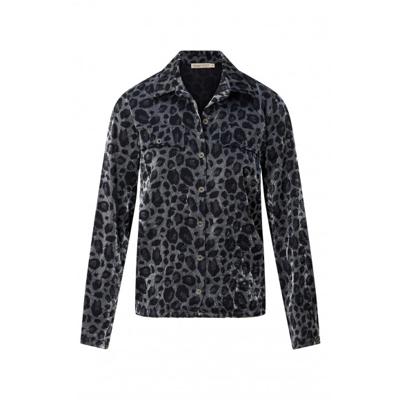 Dreamstar - Grijs | Dames | Blouse | Grijs | 46 | regular | Kamst mode
