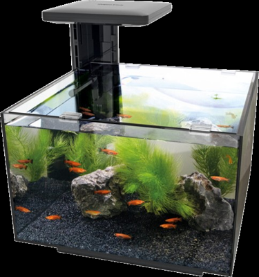 Superfish Qubiq 20 zwart