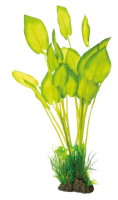 Superfish Art Plant 40 cm Echinodorus