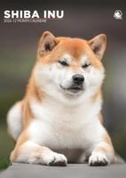 Shiba Inu A3 Kalender 2026