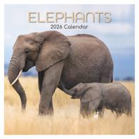 Olifanten Kalender 2026