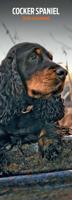 Engelse Cocker Spaniel Kalender 2026 Slimline
