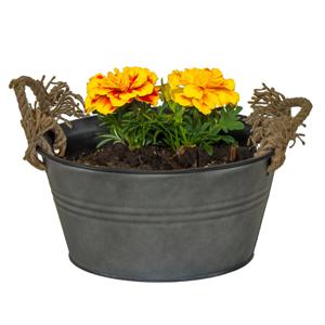 Mega Collections teil/plantenpot Old Rope - zink - antraciet - D26 X H12.5 cm   -