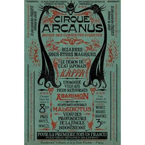 Poster Fantastic Beasts the Crimes of Grindelwald Le Cirque Arcanus 61x91,5cm