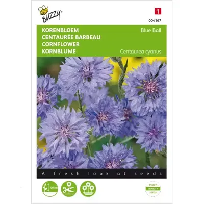 Centaurea, Korenbloem Blue Ball dubbelbloemig