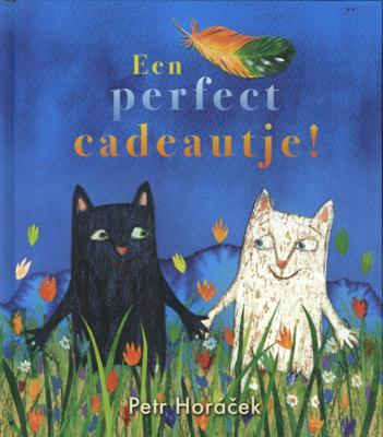 Een perfect cadeautje ! (Hardback)
