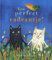 Een perfect cadeautje ! (Hardback)