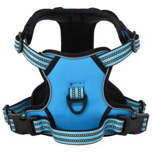 VidaXL Hondentuigje met riem en halsband verstelbaar s blauw