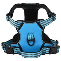 VidaXL Hondentuigje met riem en halsband verstelbaar s blauw