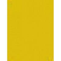 Etalagekarton 48x68 cm goud 380gr/m2